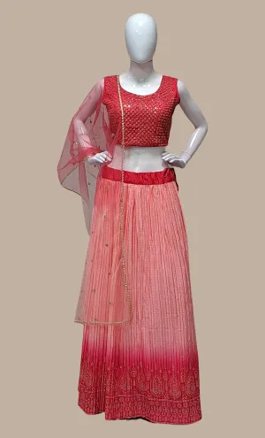 Coral Embroidered Choli Set