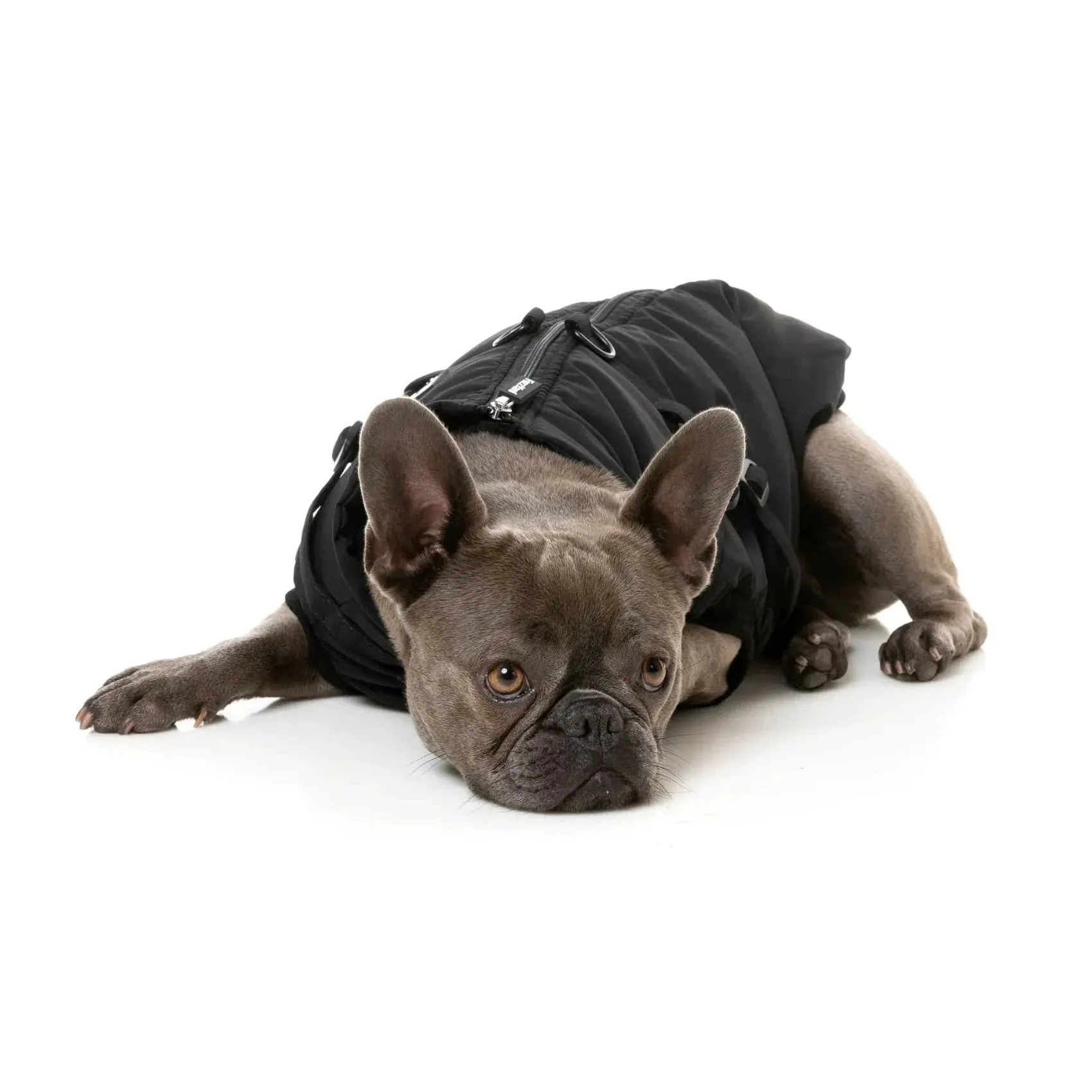 FuzzYard | Flash Harness Jacket - Black