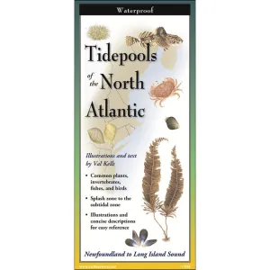 Tidepools of the North Atlantic: Folding Pocket Guides